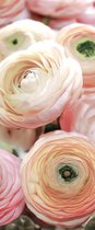 Deursticker Muursticker Bloemen | Roze | 91x211cm
