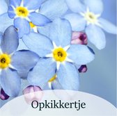 Luxe Bloemenkaartje - "Opkikkertje" - Cadeaukaartje - Bloemenlabel - Kaartje - 7x7 cm - 20 stuks - Met Boorgaatje