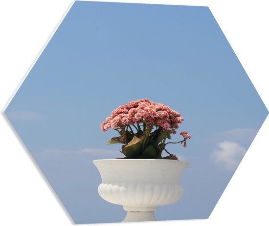 PVC Schuimplaat Hexagon - Bloemen - Bladeren - Lucht - Bloembak - Kleuren - 60x52.2 cm Foto op Hexagon (Met Ophangsysteem)