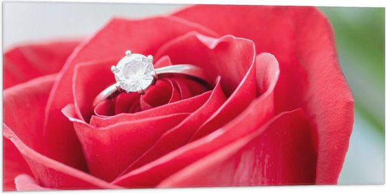 Vlag - Bloem - Roos - Ring - Diamant - Rood - 100x50 cm Foto op Polyester Vlag