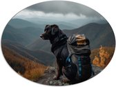 Dibond Ovaal - Reizende Hond met Backpack op Top van de Berg - 108x81 cm Foto op Ovaal (Met Ophangsysteem)