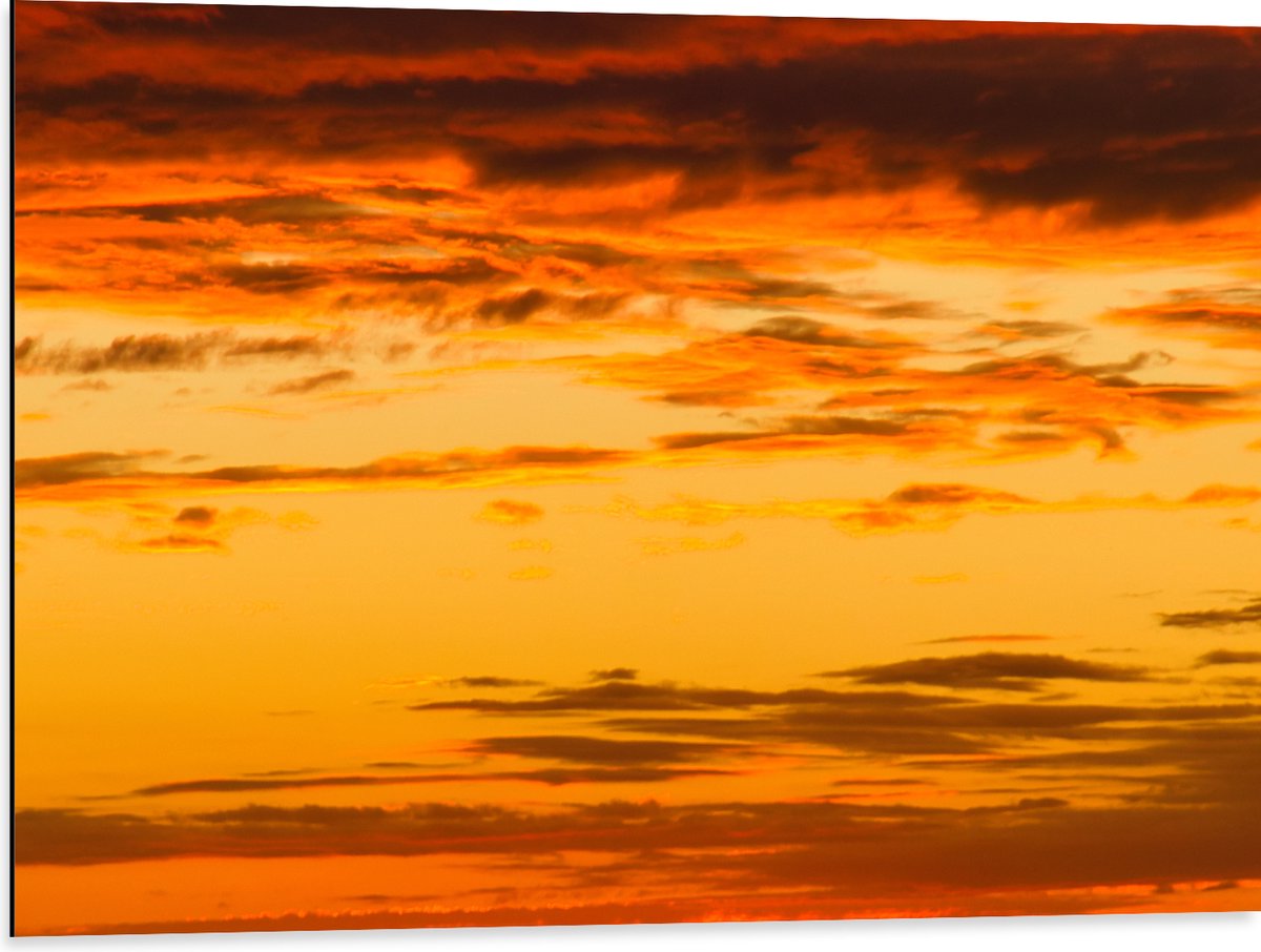 Dibond - Oranje Gloed over de Sluierbewolking in de Lucht - 80x60 cm Foto op Aluminium (Met Ophangsysteem)