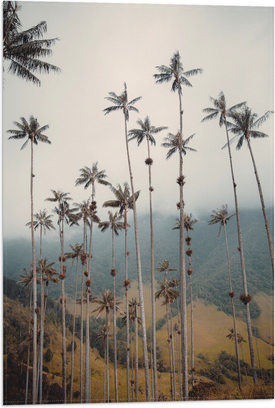 Vlag - Bergen - Bomen - Palmbomen - Bosjes - 40x60 cm Foto op Polyester Vlag