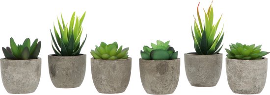 Set van zes kunstvetplantjes in grijze stenen potjes, op een witte achtergrond.