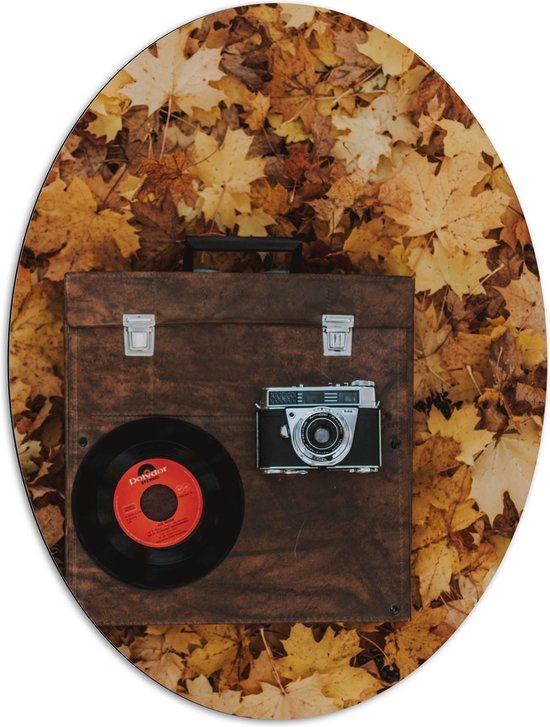 Dibond Ovaal - Muziekplaat en Vintage Camera op Koffer tussen de Herfstbladeren - 81x108 cm Foto op Ovaal (Met Ophangsysteem)