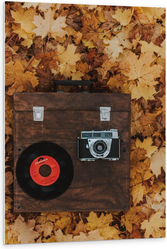 PVC Schuimplaat- Muziekplaat en Vintage Camera op Koffer tussen de Herfstbladeren - 80x120 cm Foto op PVC Schuimplaat