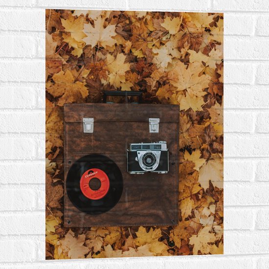 Muursticker - Muziekplaat en Vintage Camera op Koffer tussen de Herfstbladeren - 50x75 cm Foto op Muursticker