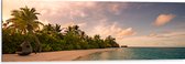 Dibond - Ligbed aan Palmboom op Strand van Onbewoond Eiland - 120x40 cm Foto op Aluminium (Met Ophangsysteem)