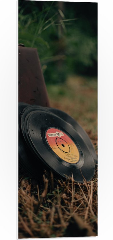 PVC Schuimplaat- Muziekplaten tegen Vintage Koffer in Landschap - 30x90 cm Foto op PVC Schuimplaat