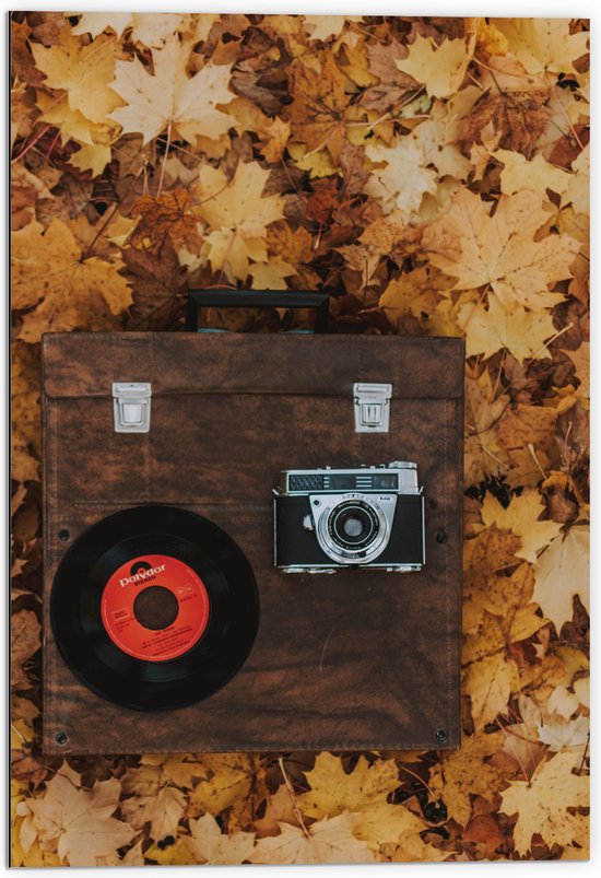 Dibond - Muziekplaat en Vintage Camera op Koffer tussen de Herfstbladeren - 70x105 cm Foto op Aluminium (Wanddecoratie van metaal)