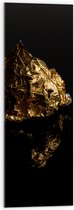 Acrylglas - Gouden Vlak op Zwarte Achtergrond - 30x90 cm Foto op Acrylglas (Wanddecoratie op Acrylaat)
