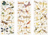 3 Stickervellen - Libelle - Stickers - Dragonfly - Hobbystickers