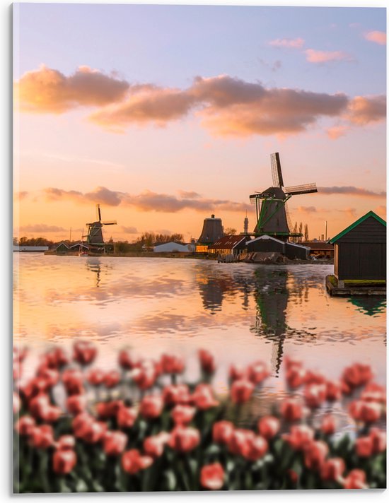 Acrylglas - Rij Tulpen aan het Water voor Molens in Nederland - 30x40 cm Foto op Acrylglas (Wanddecoratie op Acrylaat)