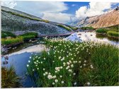 Acrylglas - Bergen - Water - Planten - Bloemen - Wolken - 80x60 cm Foto op Acrylglas (Wanddecoratie op Acrylaat)