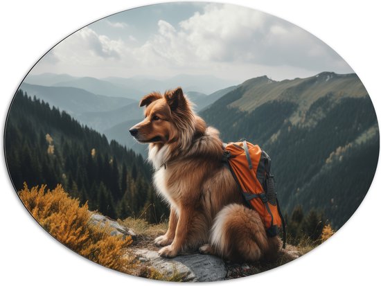 Dibond Ovaal - Reizende Hond met Rugzak op Top van de Berg - 96x72 cm Foto op Ovaal (Met Ophangsysteem)