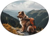 Dibond Ovaal - Reizende Hond met Rugzak op Top van de Berg - 80x60 cm Foto op Ovaal (Met Ophangsysteem)