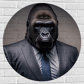 Muursticker Cirkel - Gespierde Gorilla Aap in Zakelijk Pak met Blauwe Stropdas - 80x80 cm Foto op Muursticker