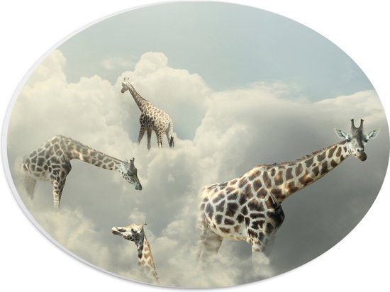 PVC Schuimplaat Ovaal - Giraffen met de Hoofden in de Wolken - 28x21 cm Foto op Ovaal (Met Ophangsysteem)