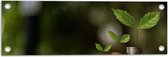 Tuinposter – Geld Groeit Wél aan Planten - 60x20 cm Foto op Tuinposter (wanddecoratie voor buiten en binnen)