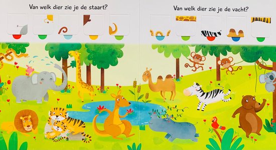 100 fantastische flapjes - Woordjes
