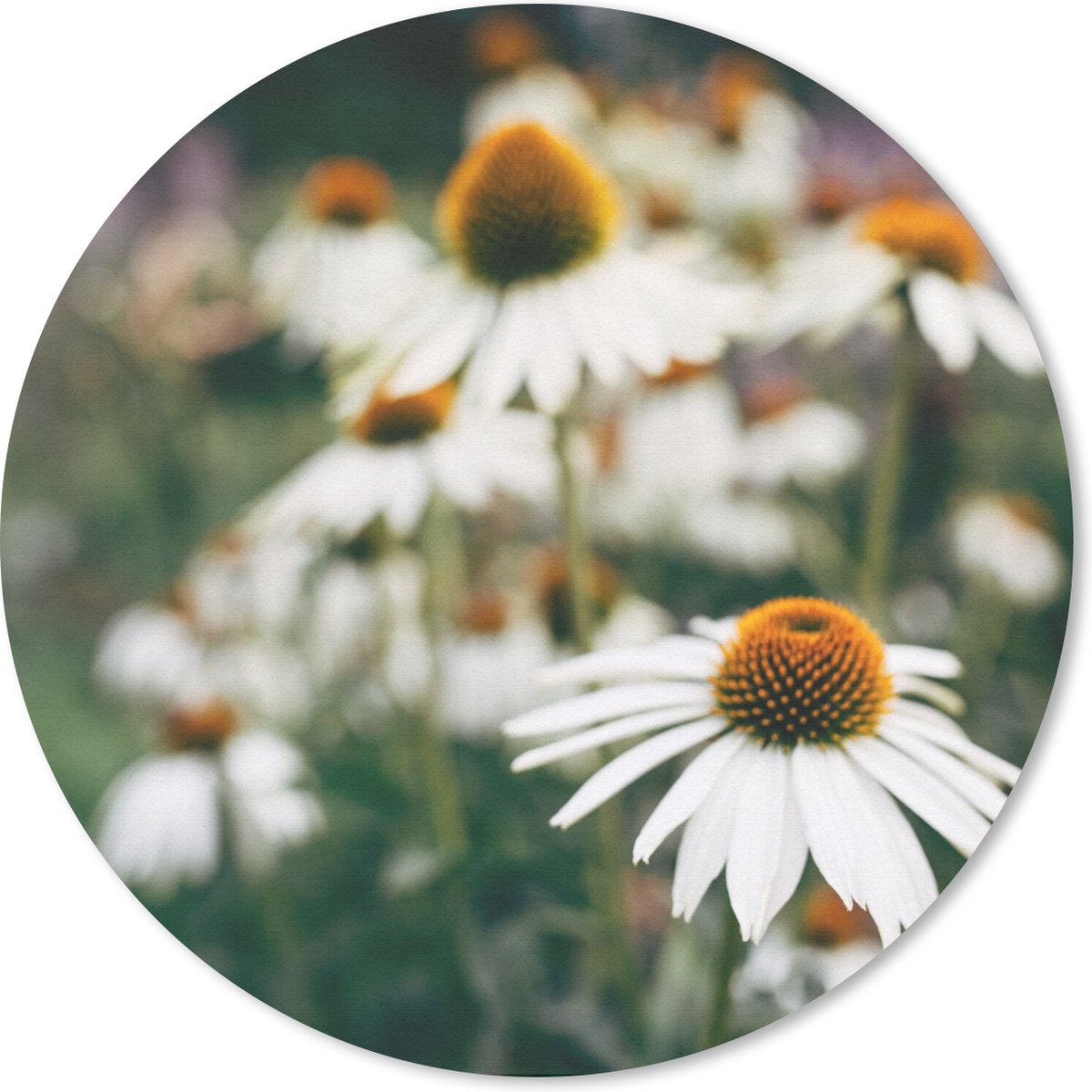 Muismat rond 40x40 cm - Mousepad Bloemen - Herfst - Botanisch - Ronde muismatten