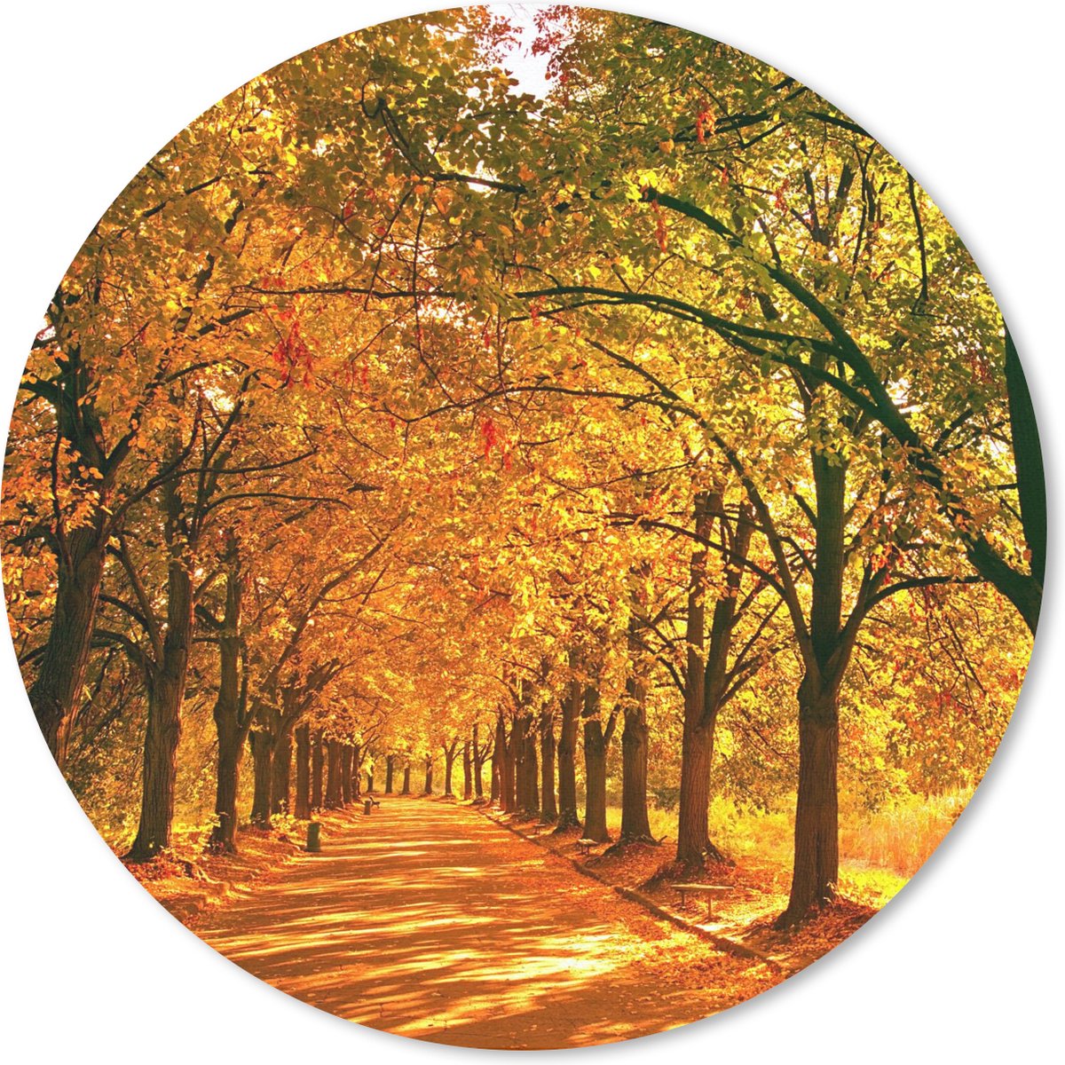 Muismat rond 40x40 cm - Mousepad Bos - Herfst - Seizoenen - Landelijk - Ronde muismatten