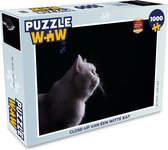 Puzzel Close-up van een witte kat - Legpuzzel - Puzzel 1000 stukjes volwassenen