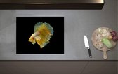 Inductieplaat Beschermer - Gele Vis met Sierlijke Vinnen tegen Zwarte Achtergrond - 60x52 cm - 2 mm Dik - Inductie Beschermer van Vinyl