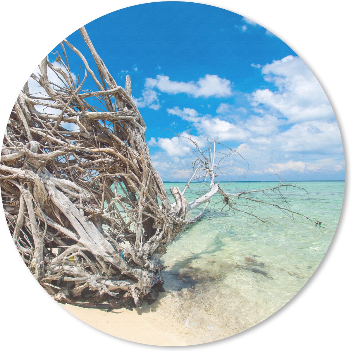 Muismat rond 30x30 cm - Mousepad Strand - Takken - Tropisch - Zee - Ronde muismatten