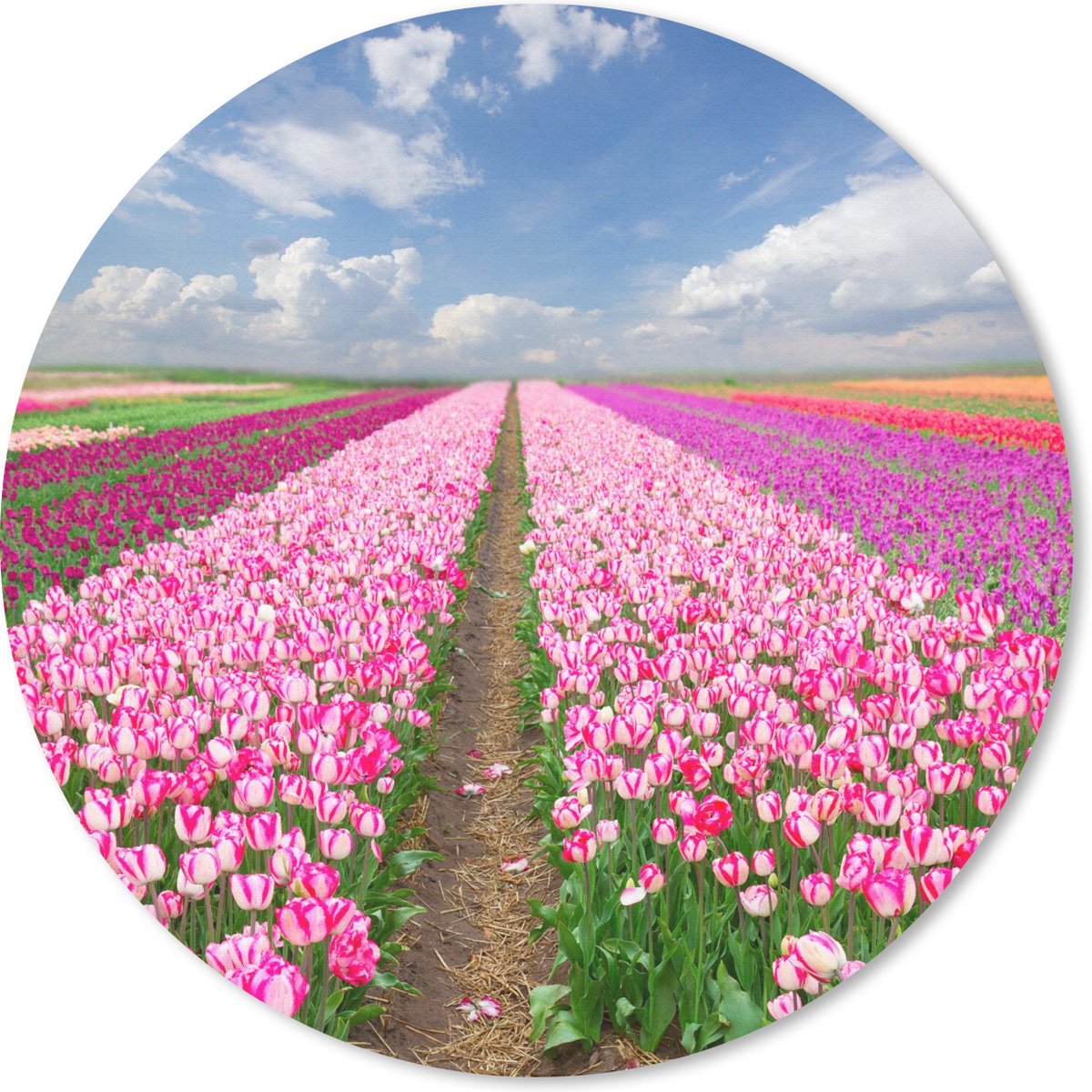 Muismat rond 40x40 cm - Mousepad Tulpen - Zon - Lente - Ronde muismatten