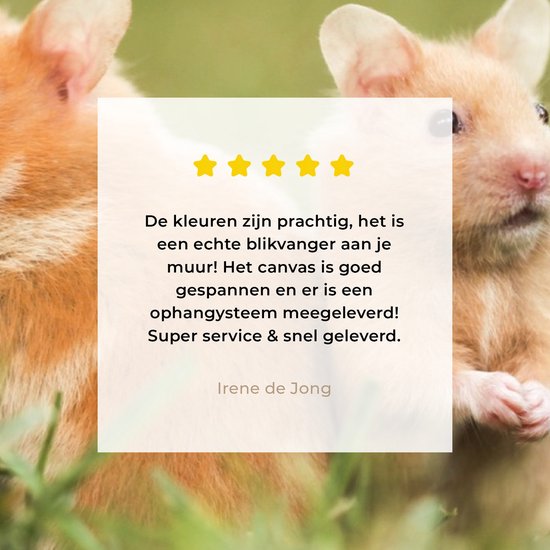 Tableau sur toile Hamsters dorés - 30x20 cm - Décoration murale