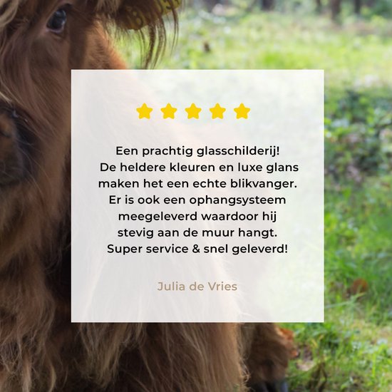 MuchoWow® Glasschilderij 180x120 cm - Schilderij acrylglas - Schotse Hooglander - Pad - Dieren - Foto op glas - Schilderijen