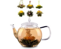 Bedida glazen theepot (800 ml) - Theepot met zeefje in de tuit, glazen kan met deksel, theecadeau