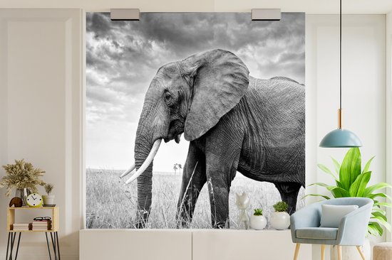 Behang - Fotobehang Olifant op de vlakte in zwart-wit - Breedte 350 cm x hoogte 350 cm