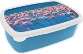 Broodtrommel Blauw - Lunchbox - Brooddoos - Flamingo - Water - Tropisch - Water - Roze - 18x12x6 cm - Kinderen - Jongen