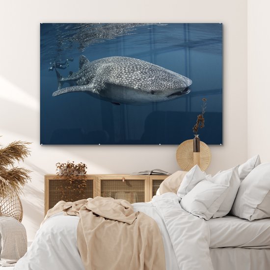 Peinture sur verre - Requin baleine nageant à la surface - 180x120 cm - Peintures sur Verre Peintures - Photo sur Glas