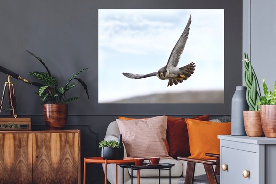 Stickers Stickers muraux - Faucon pèlerin - Oiseau de proie - Ailes - 120x90 cm - Film Adhésif