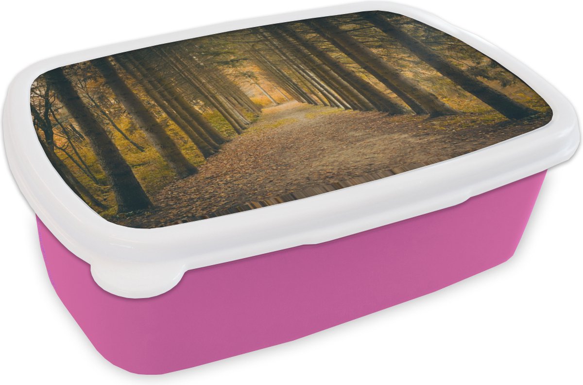 Broodtrommel Roze - Lunchbox - Brooddoos - Pad - Bomen - Bos - 18x12x6 cm - Kinderen - Meisje