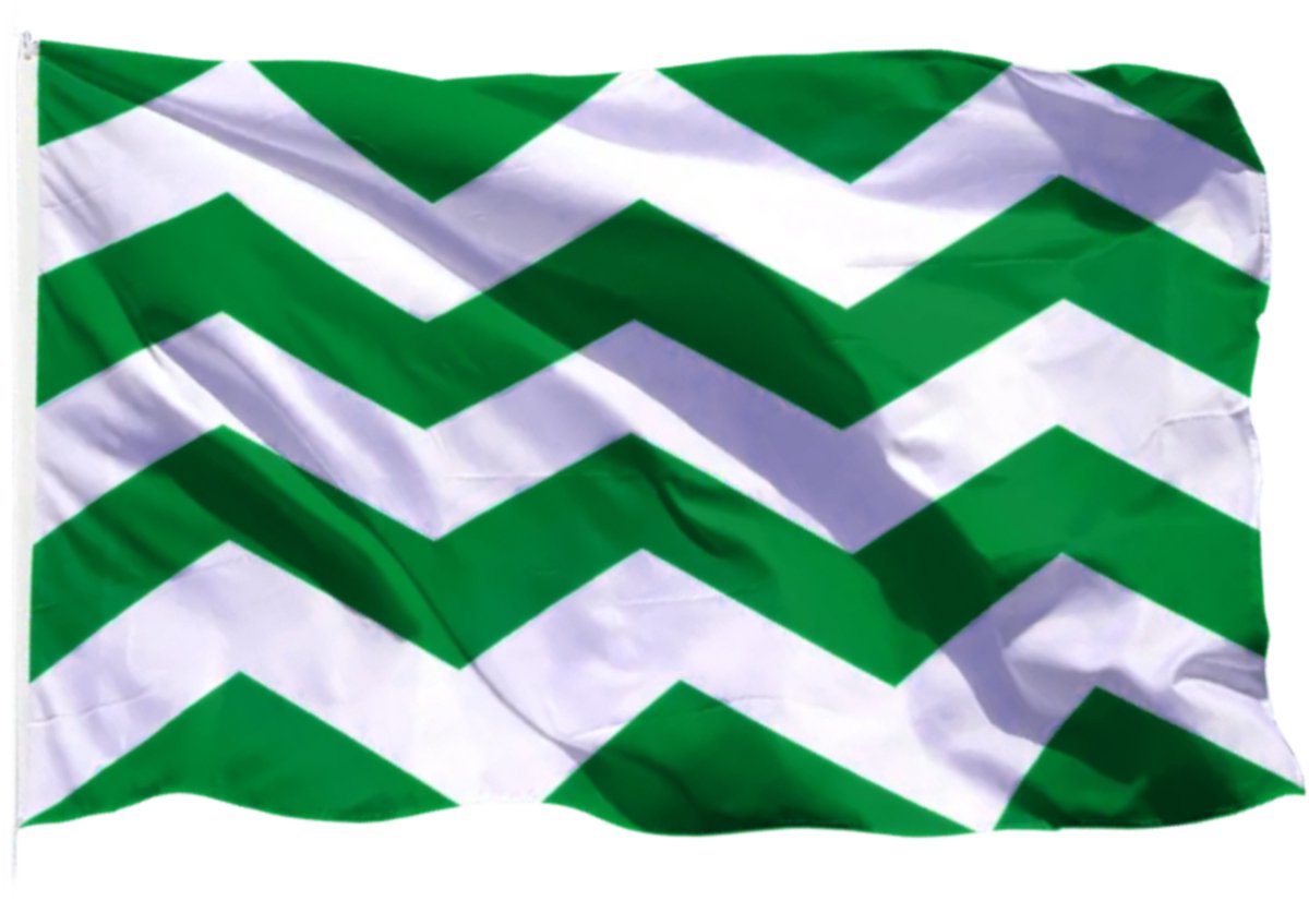 Vlag - Westland - Rechthoekig - 50x75cm