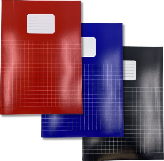 Schriften A4 formaat Ruit 10 mm - Rood Blauw Zwart - 5 pak - Schoolschrift geruit - DULA