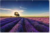 Tuinposter lavendel - Tuindecoratie bloemen - 180x120 cm - Wanddecoratie voor buiten - Schutting decoratie paars - Buitenposter - Paarse schuttingdoek - Tuindoeken - Tuin doek - Balkon poster