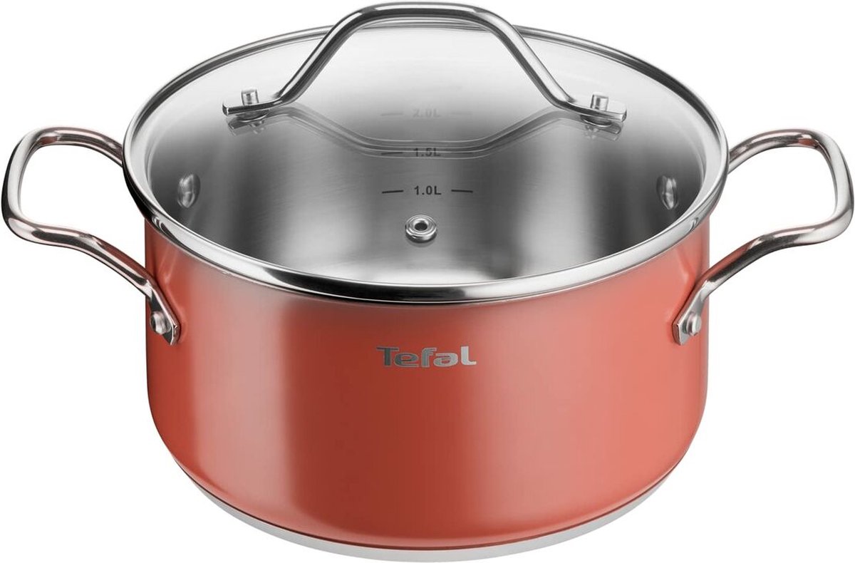RVS Kookpan met Anti-aanbaklaag, 2.9L, 20cm