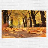 Muursticker - Bomen - Bossen - Bladeren - Herfst - Natuur - 105x70 cm Foto op Muursticker