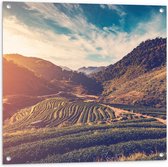 Tuinposter – Sluierbewolking over Natuurrijk Landschap - 80x80 cm Foto op Tuinposter (wanddecoratie voor buiten en binnen)