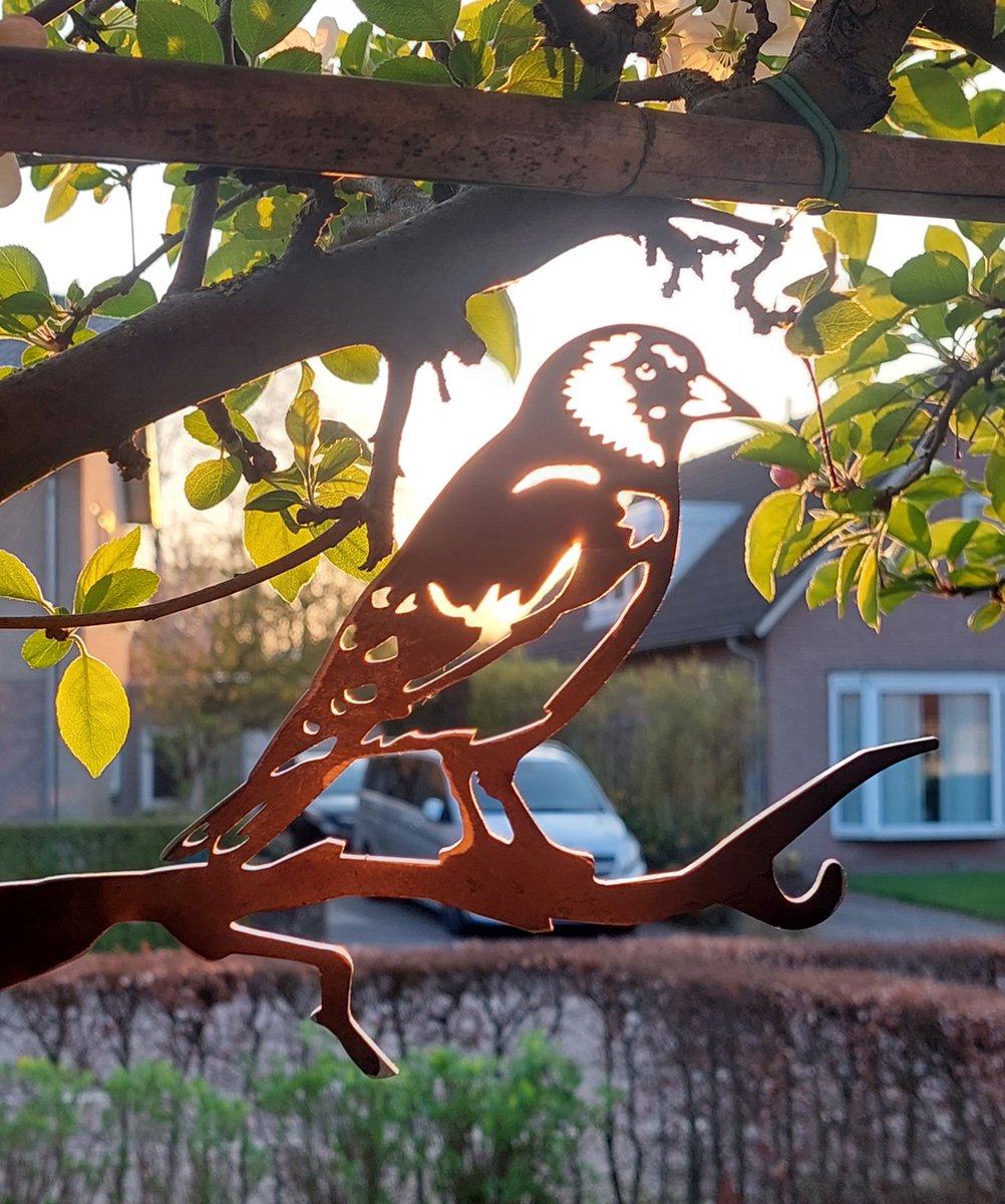 Metalbird vogel in cortenstaal - tortelduif