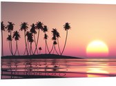 PVC Schuimplaat - Silhouet van Bomen op Eiland bij Ondergaande Zon - 105x70 cm Foto op PVC Schuimplaat (Met Ophangsysteem)
