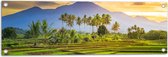 Tuinposter – Rijstvelden in Thailand langs Bergen - 90x30 cm Foto op Tuinposter (wanddecoratie voor buiten en binnen)