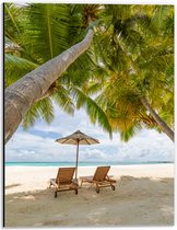 Dibond - Schuingroeiende Palmboom boven Ligbedden en Parasol op het Strand - 30x40 cm Foto op Aluminium (Wanddecoratie van metaal)