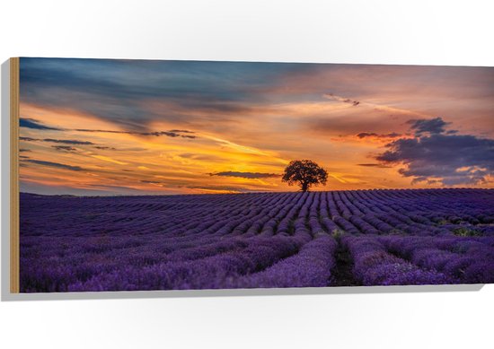 Hout - Landschap - Bloemen - Planten - Boom - Lavendel - Zonsondergnag - Paars - 100x50 cm - 9 mm dik - Foto op Hout (Met Ophangsysteem)