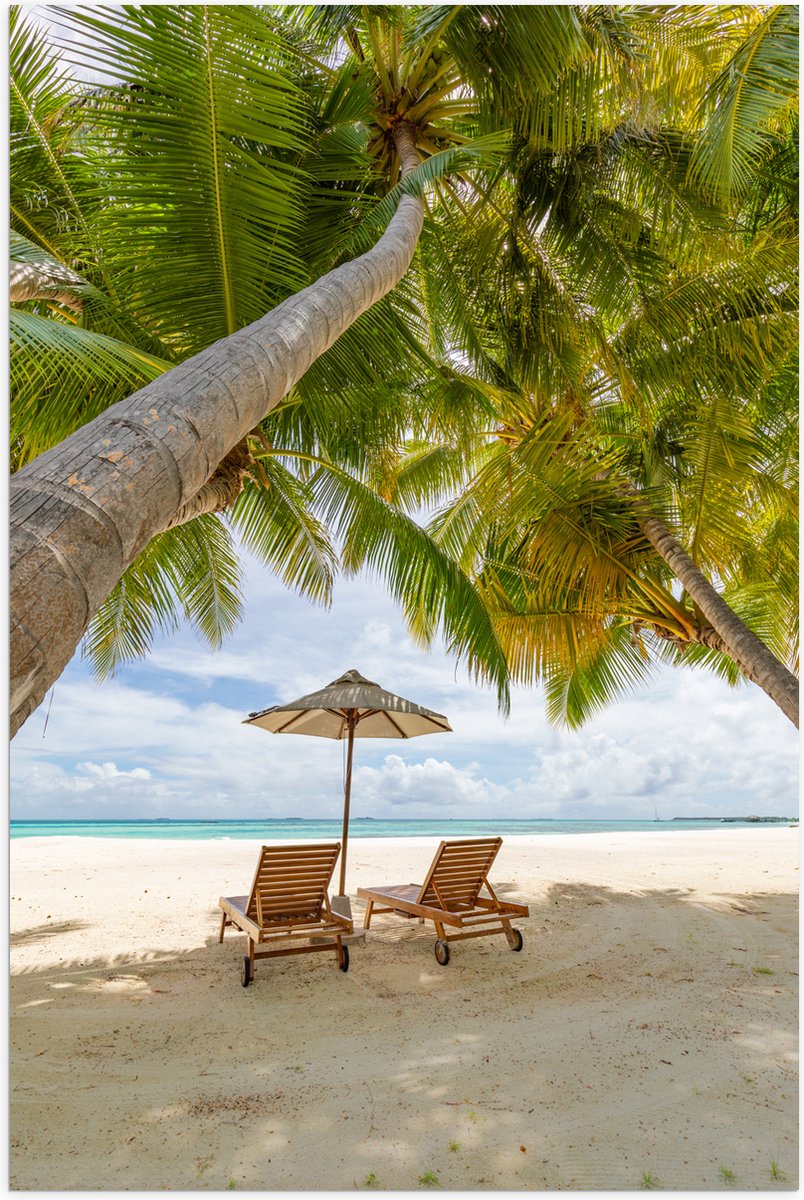 Poster Glanzend – Schuingroeiende Palmboom boven Ligbedden en Parasol op het Strand - 100x